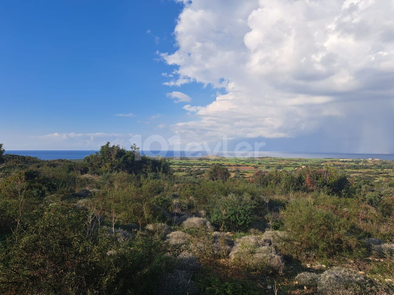 Поле с видом на море в YeniErenkoy