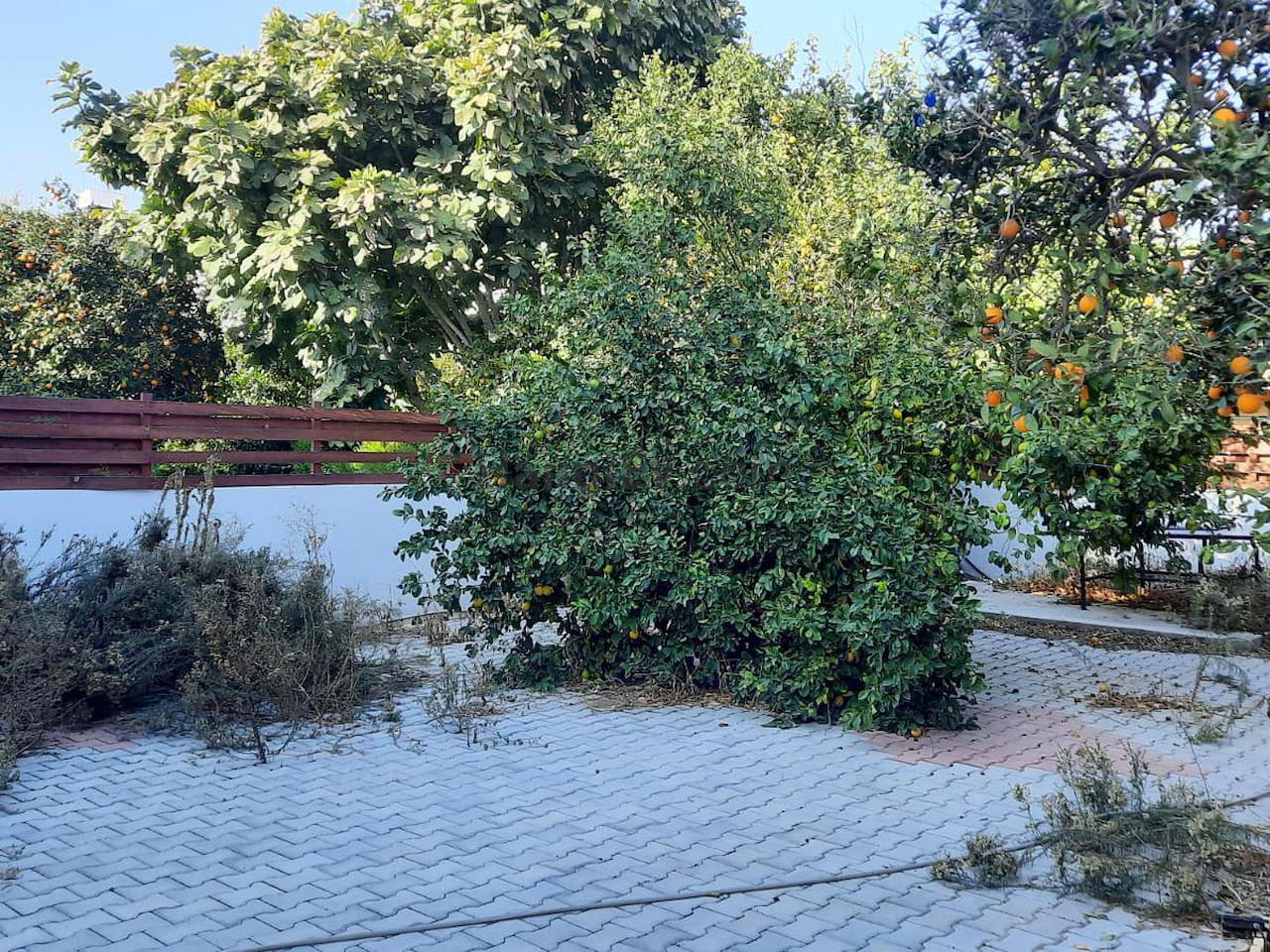 Северный Кипр Никосия Кучук Каймакли продажа готовый бизнес с садом, 180 m²